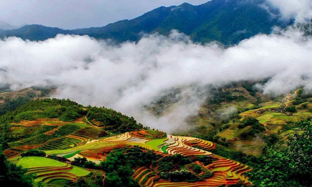sapa-november-misty-season